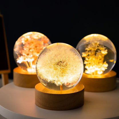 3D Dandelion Crystal Ball 5Cm 6Cm Luminous Immortality Flower Gift Crystal Ball Wood Stand Base Preserved Flower Sphere Ball